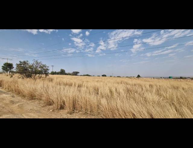 FARM FOR SALE IN LAEZONIA